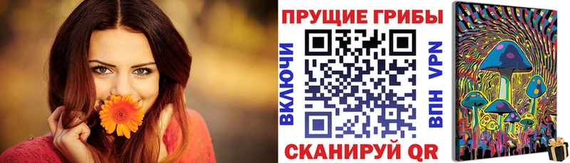 Купить  Вязники  Галлюциногенные грибы MAGIC MUSHROOMS 